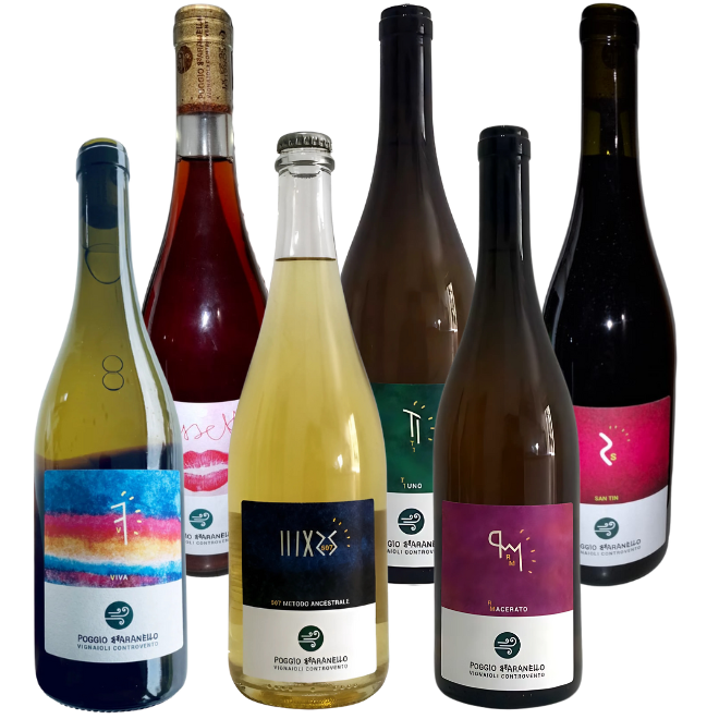 Poggio Bbaranello Tasting Case