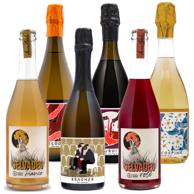 Vitivinicola Fangareggi Tasting Case