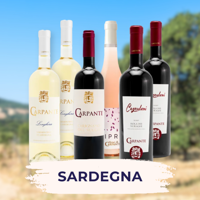 Sardegna Tasting Case