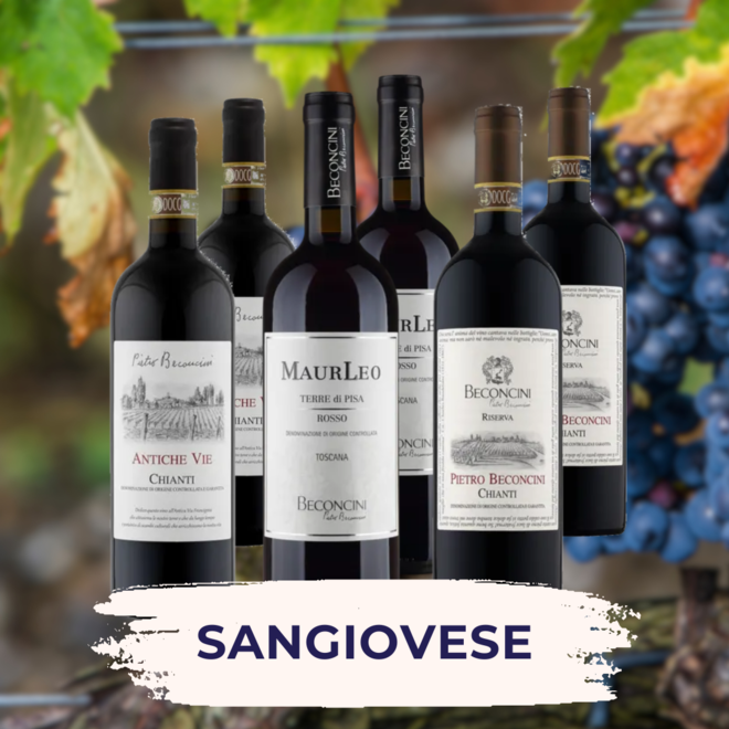 Sangiovese Proefpakket