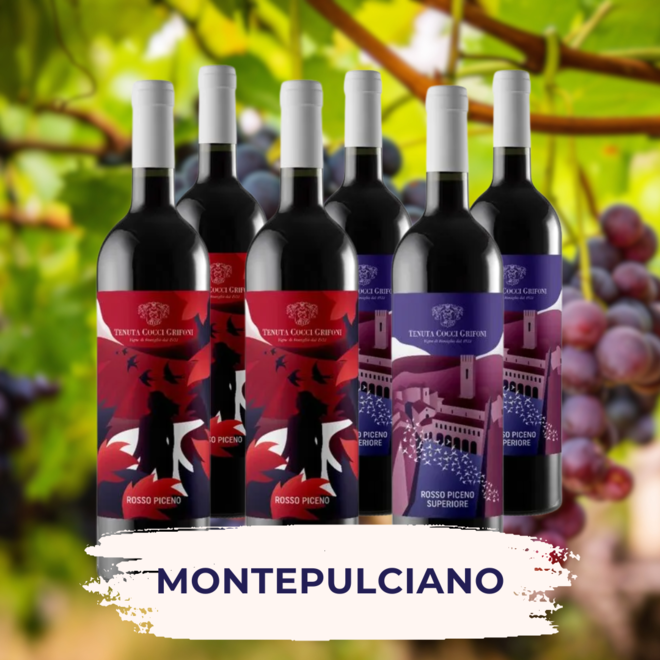 Montepulciano Probepackung