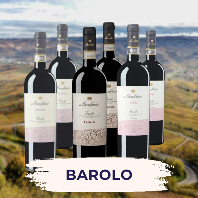 Barolo Probepackung