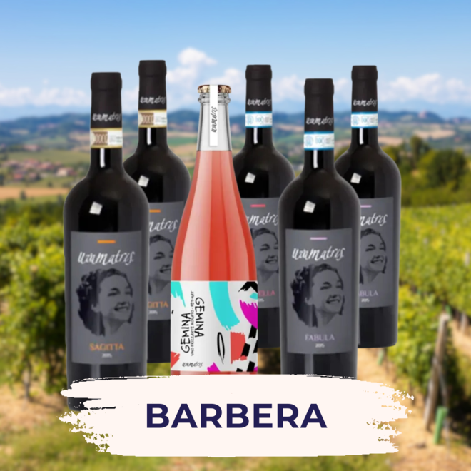 Barbera Tastingset