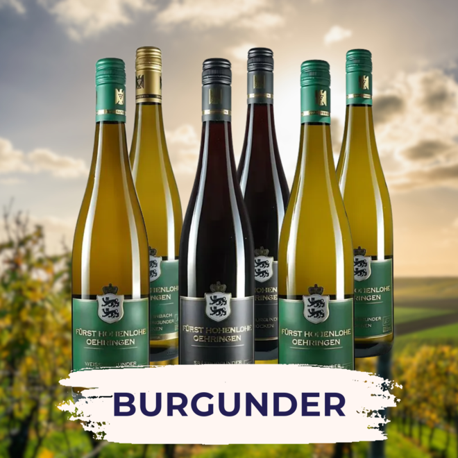 Burgunder Tasting Case