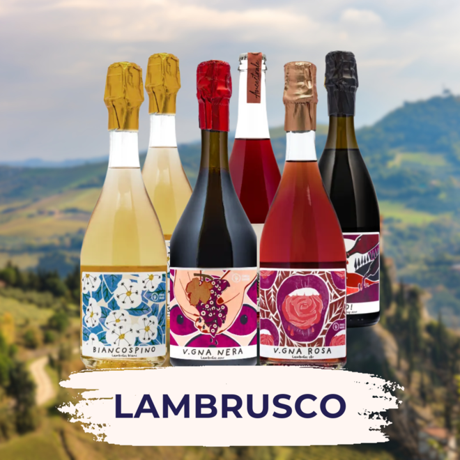 Lambrusco Probepackung