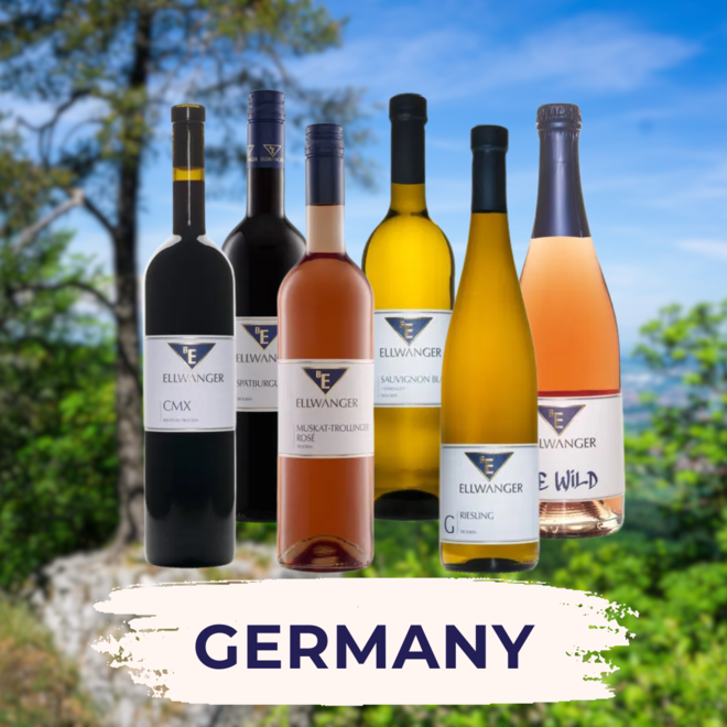Germany Tasting Case