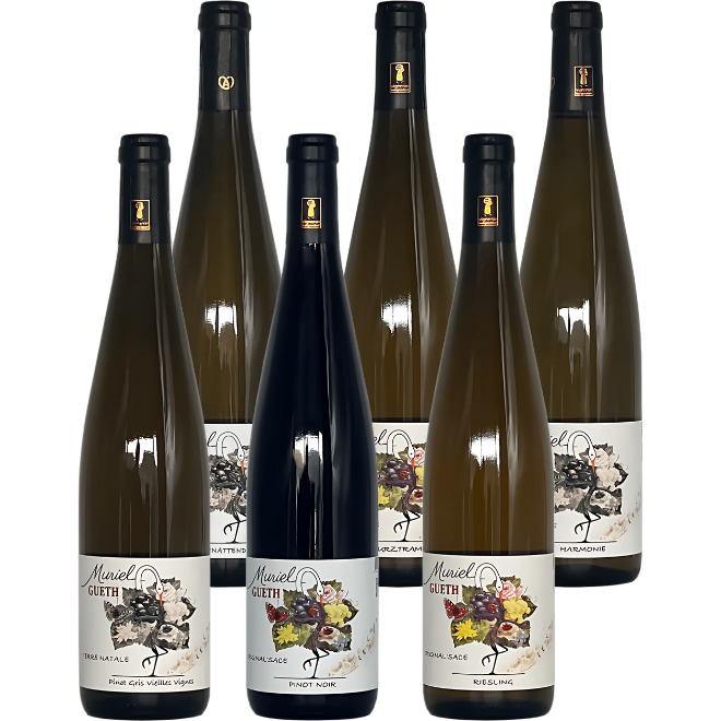 Domaine Gueth Probepaket