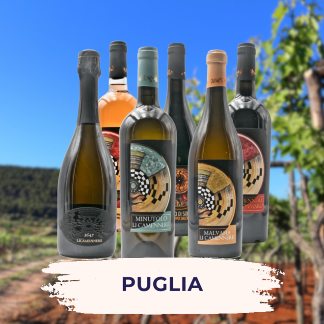 Puglia Tasting Case