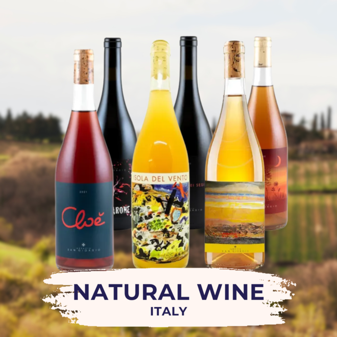 Natural wine Tasting Case