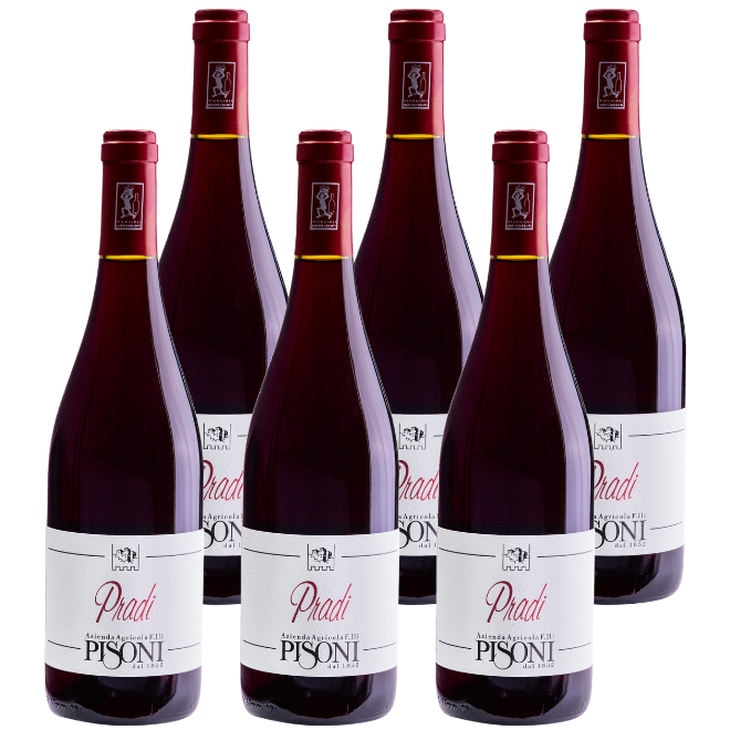 'Pradi' Teroldego Vigneti delle Dolomiti IGT 2023