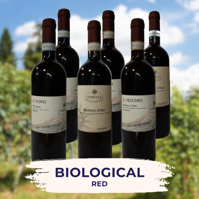 Organic Red Tasting Pack