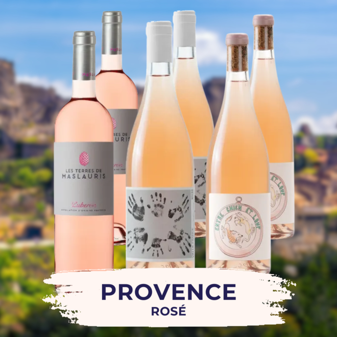 Provence Rosé Tasting Case