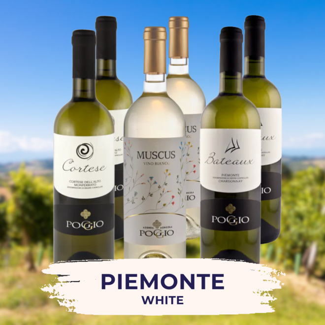 Piemont Weißes Probierpaket