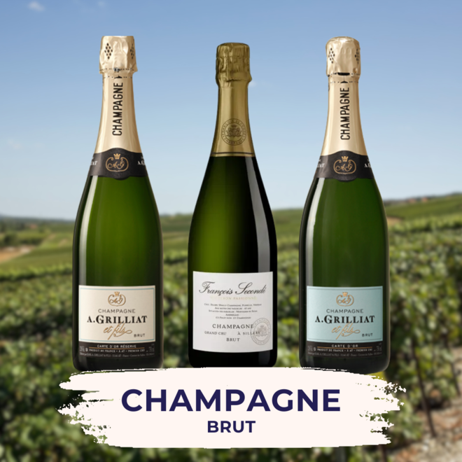 Champagne Brut Proefpakket