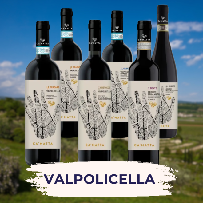 Valpolicella tasting pack Red edition