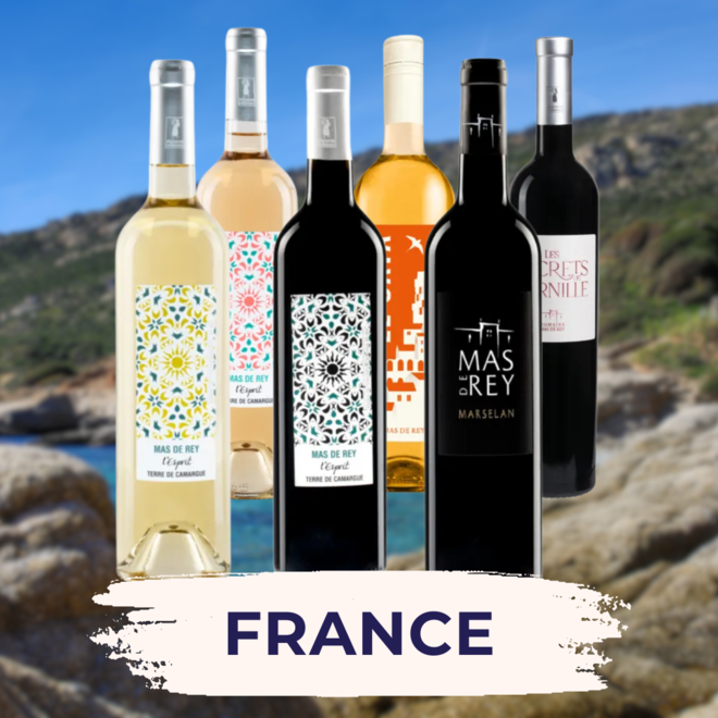 Mas de Rey Tasting Case