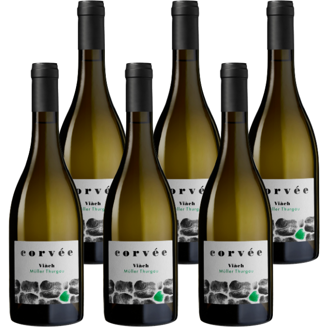 CorvΓ©e 'ViΓ ch' MΓΌller Thurgau Cembra Trentino DOC Superiore