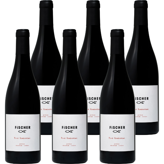 'Ried Gradenthal' Zweigelt BIO