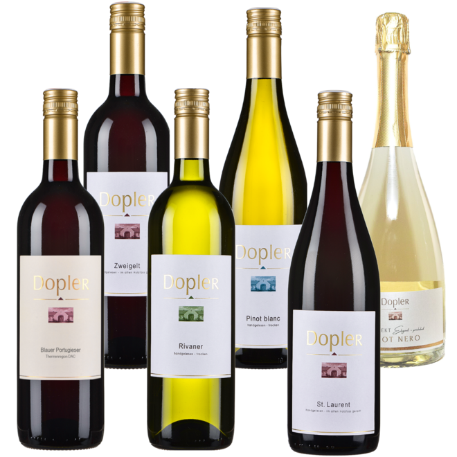 Weingut Dopler Tasting Case