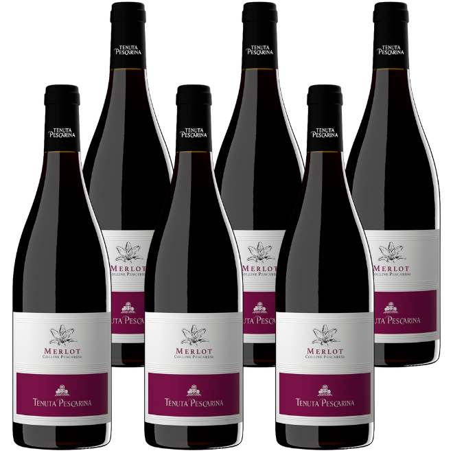 Merlot IGT Colline Pescaresi