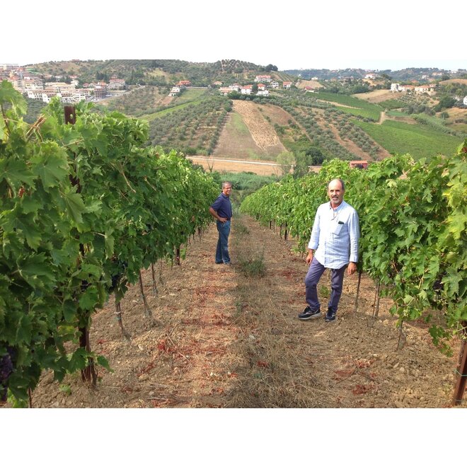 Tenuta Pescarina Proefpakket (Abruzzo)