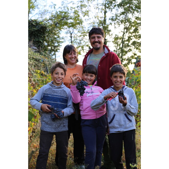 Maison D&D Tasting Pack