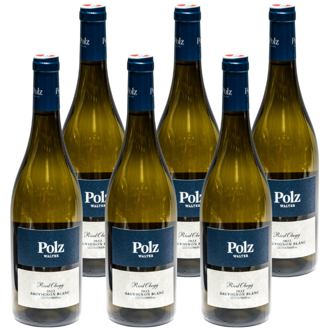 Sauvignon Blanc Ried Obegg Südsteiermark DAC 2022