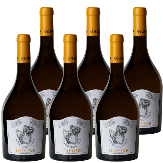 'Daphne' Vino Bianco 2023