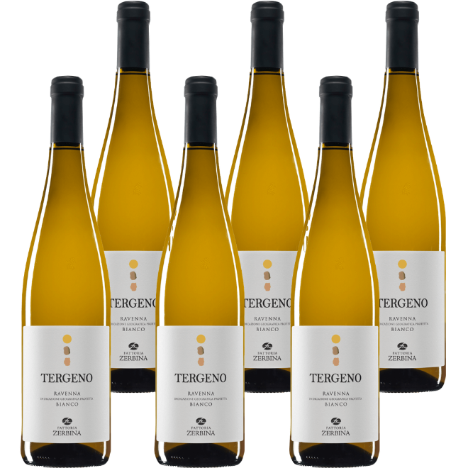 'Tergeno' Ravenna Bianco IGP