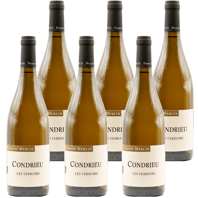 'Les Terroirs' Blanc AOC Condrieu 2024
