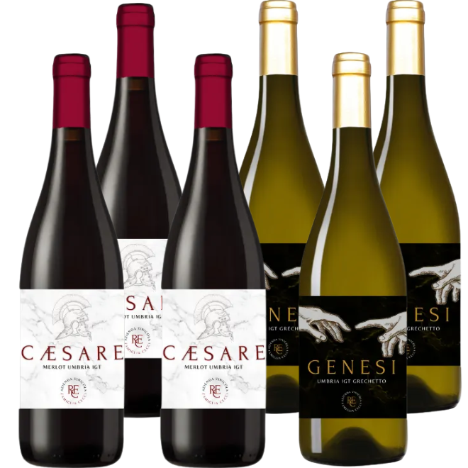 Azienda Agricola Cecci Tasting Case