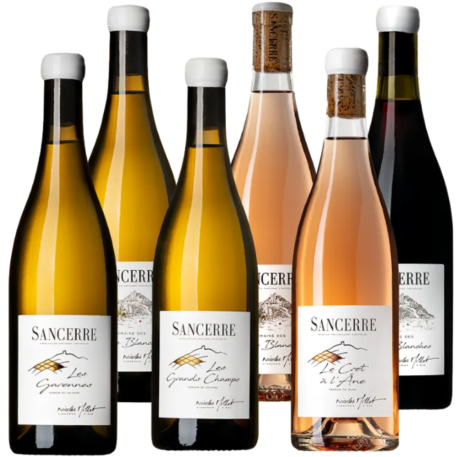 Sancerre Nicolas Millet Tasting Case