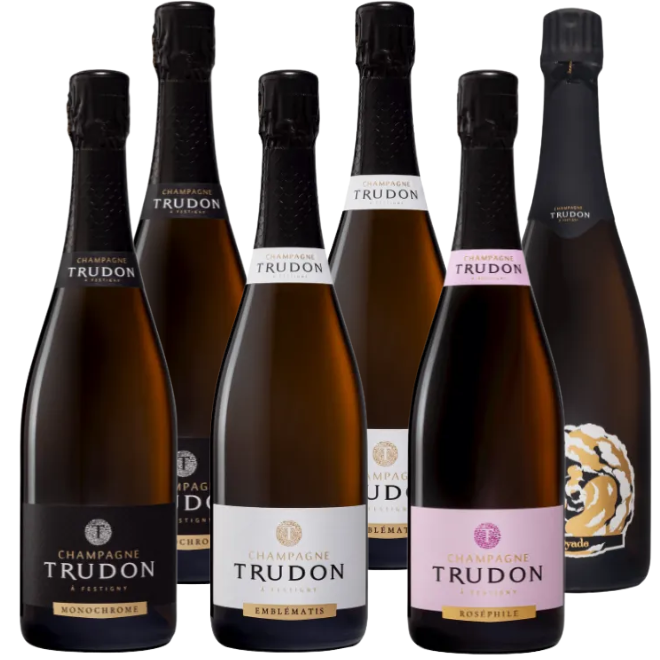 Champagne Trudon Tasting Case
