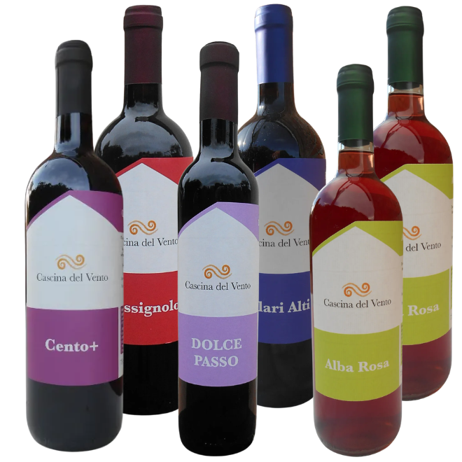 Cascina del Vento Tasting Case