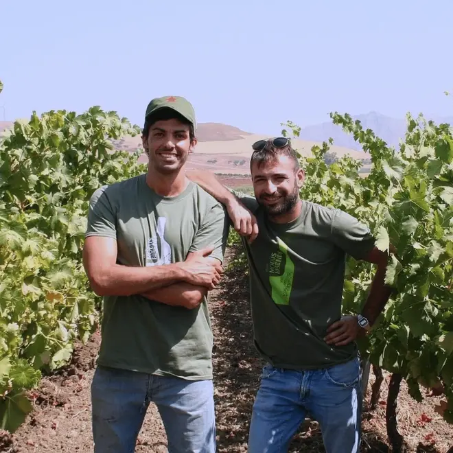 Wein Abo - 12 monate gift