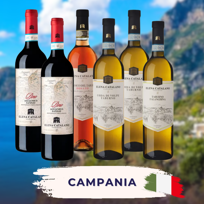 Campania Tasting Case