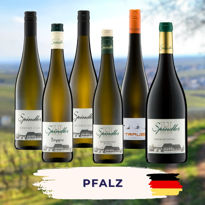 Pfalz Tasting Case