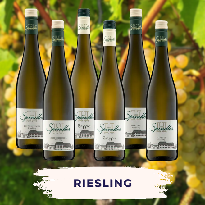 Riesling probierpaket