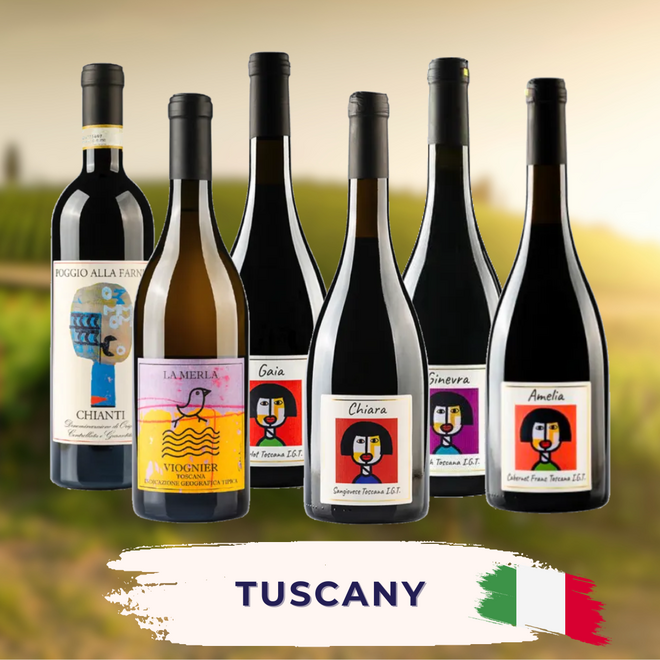 Tuscany Tasting Case
