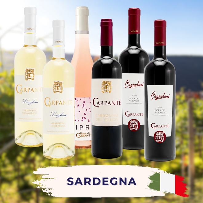 Sardegna Tasting Case