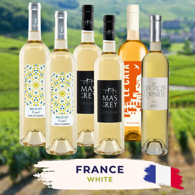 Frankreis Weißwein-Probierpaket