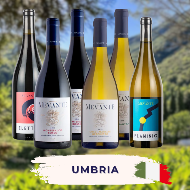 Umbria Tasting Case