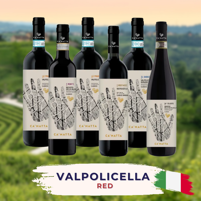 Probierpaket Valpolicella Rotwein