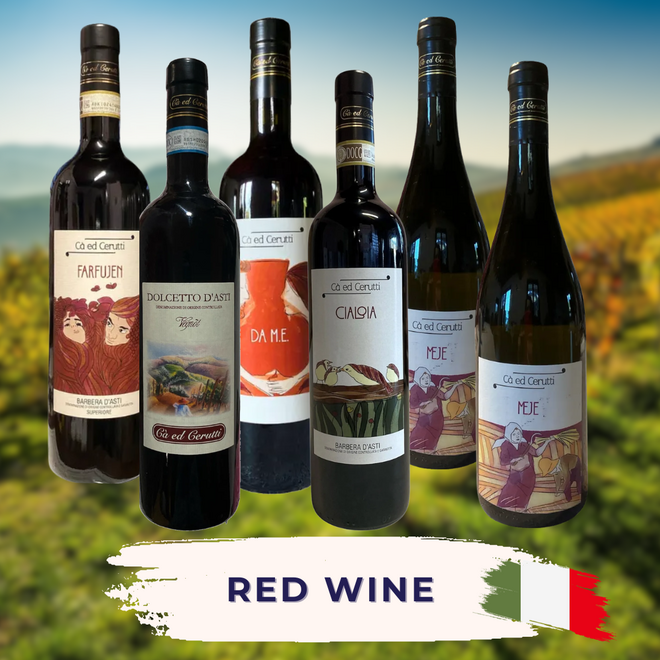 Red Wine Tasting Case