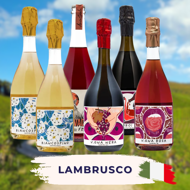 Lambrusco Tasting Case