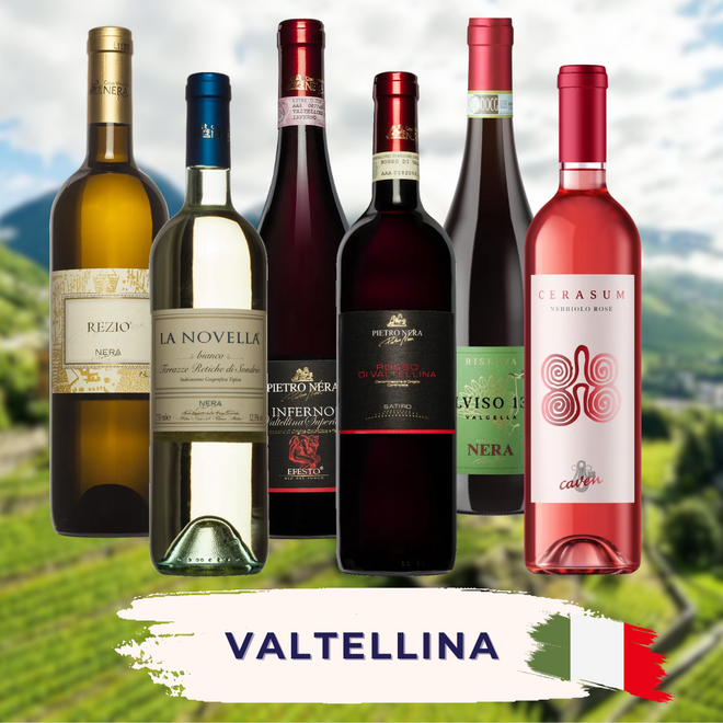 Valtellina Tasting Case