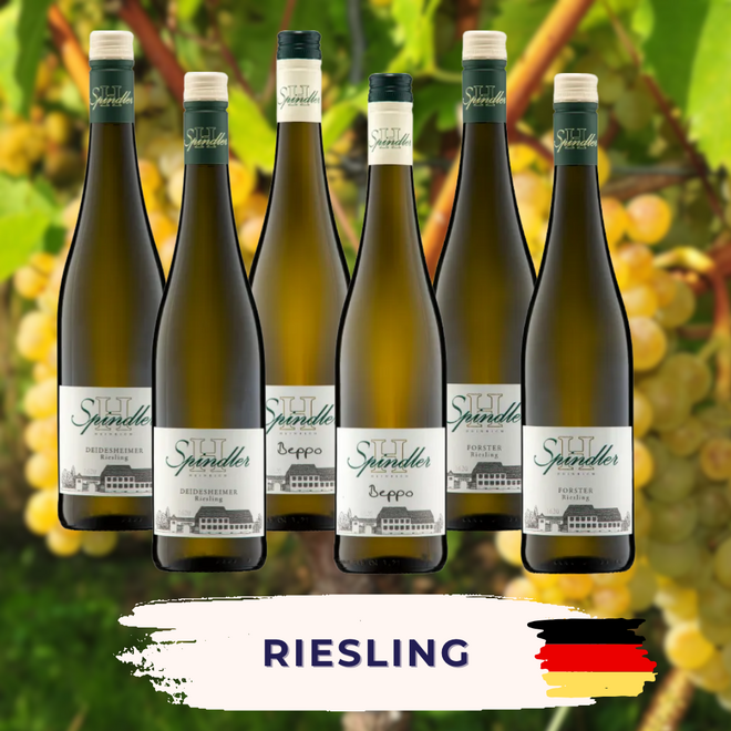 Riesling proefpakket