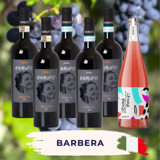 Barbera Probierpaket
