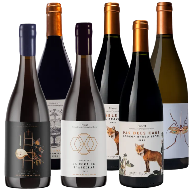 Bodega Bravo Escós Tasting Case