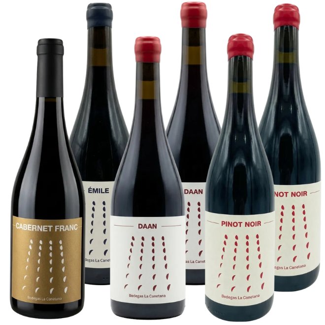 Bodegas La Canetana Tasting Case Red
